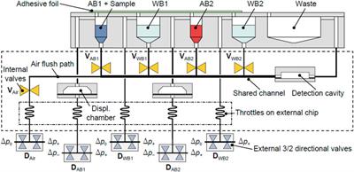 Development of a Fluorescent Microfluidic Device Based on Antibody Microarray Read-Out for Therapeutic Drug Monitoring of Acenocoumarol